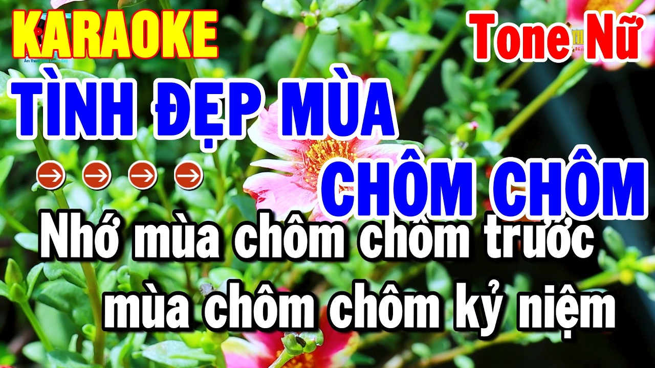 Karaoke Tình Đẹp Mùa Chôm Chôm Tone Nữ Nhạc Sống Dễ Hát Chuẩn | Thanh Hải
