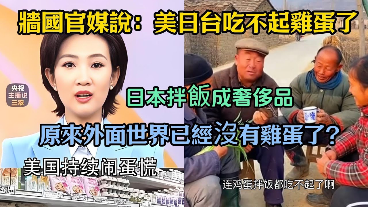 中共媒體神助攻：美國、日本、台灣吃不起雞蛋了，原來外面世界已經沒有雞蛋了？