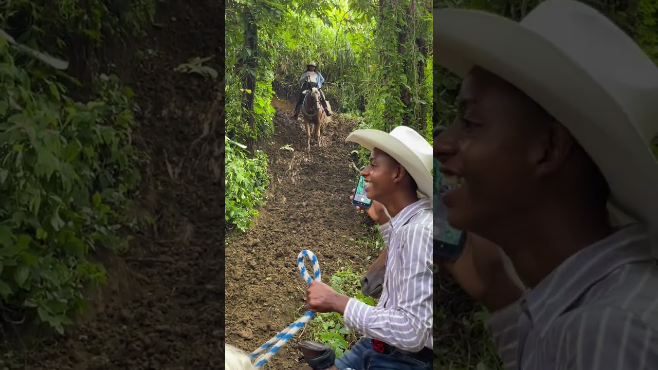 ￼Una aventura a caballo #fyp #family #fun #viralvideo   Suscríbete dale like 👍￼