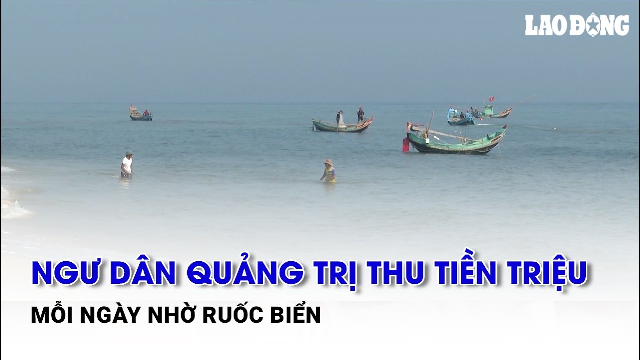 Ngư dân Quảng Trị thu tiền triệu mỗi ngày nhờ ruốc biển | Báo Lao Động
