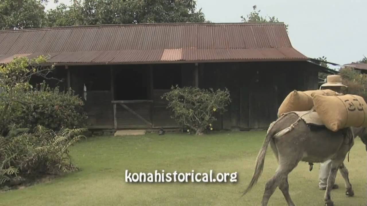 Kona Coffee Living History Farm