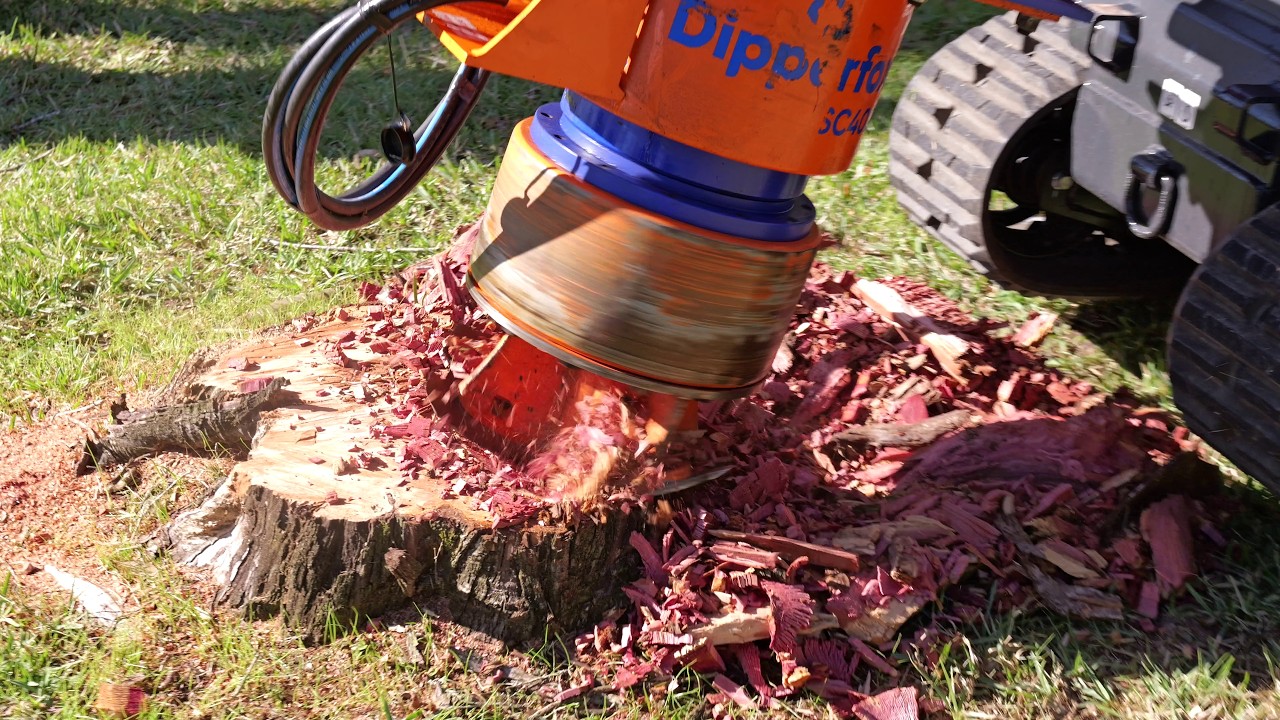 Training with the DipperFox Stump Grinder