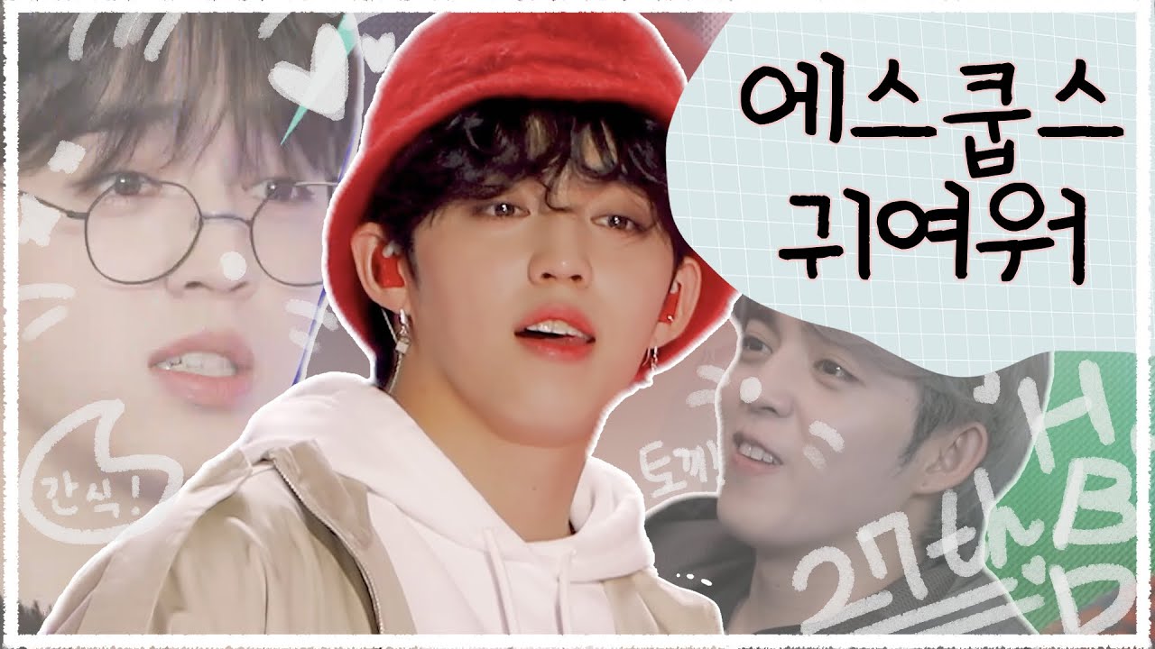 [세븐틴] 에스쿱스가 누구냐면 짱 귀여운 말랑 뽀짝 두부 체리 토끼 너구리