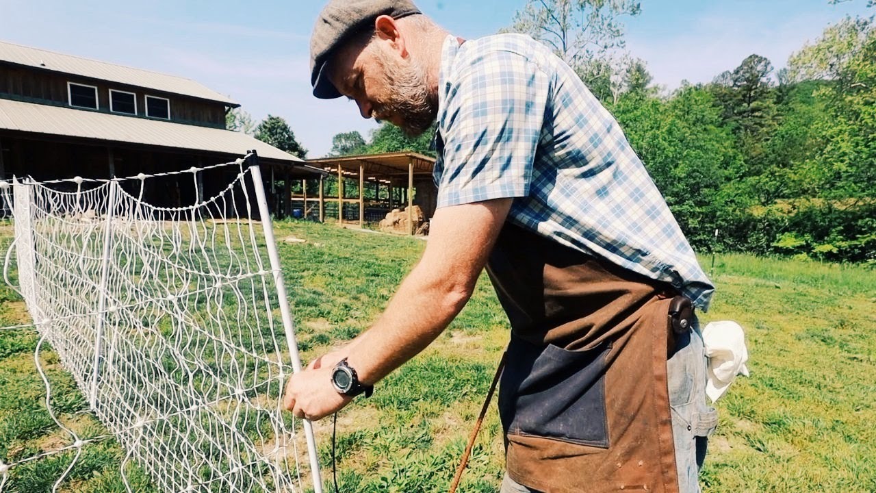 This Will Be EVERYTHING You Need to Know About Electric Poultry Netting