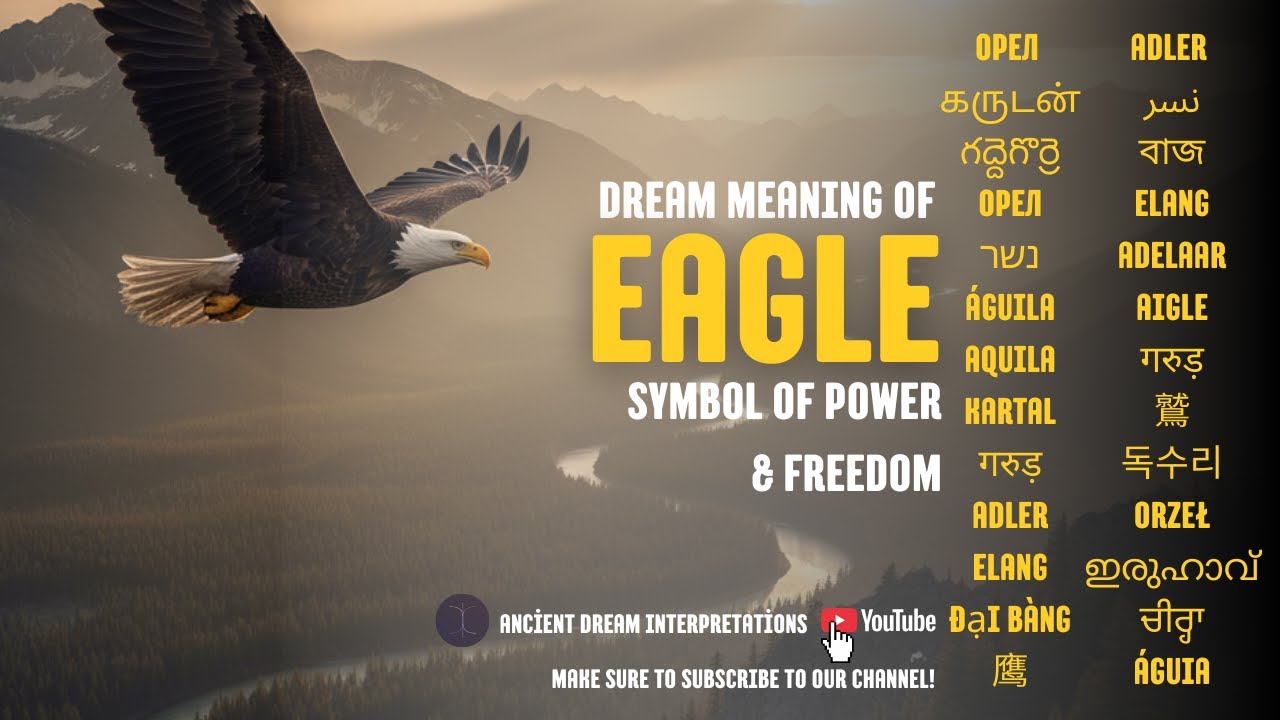 Dream Meaning of Eagle 🦅 | Symbol of Power & Freedom