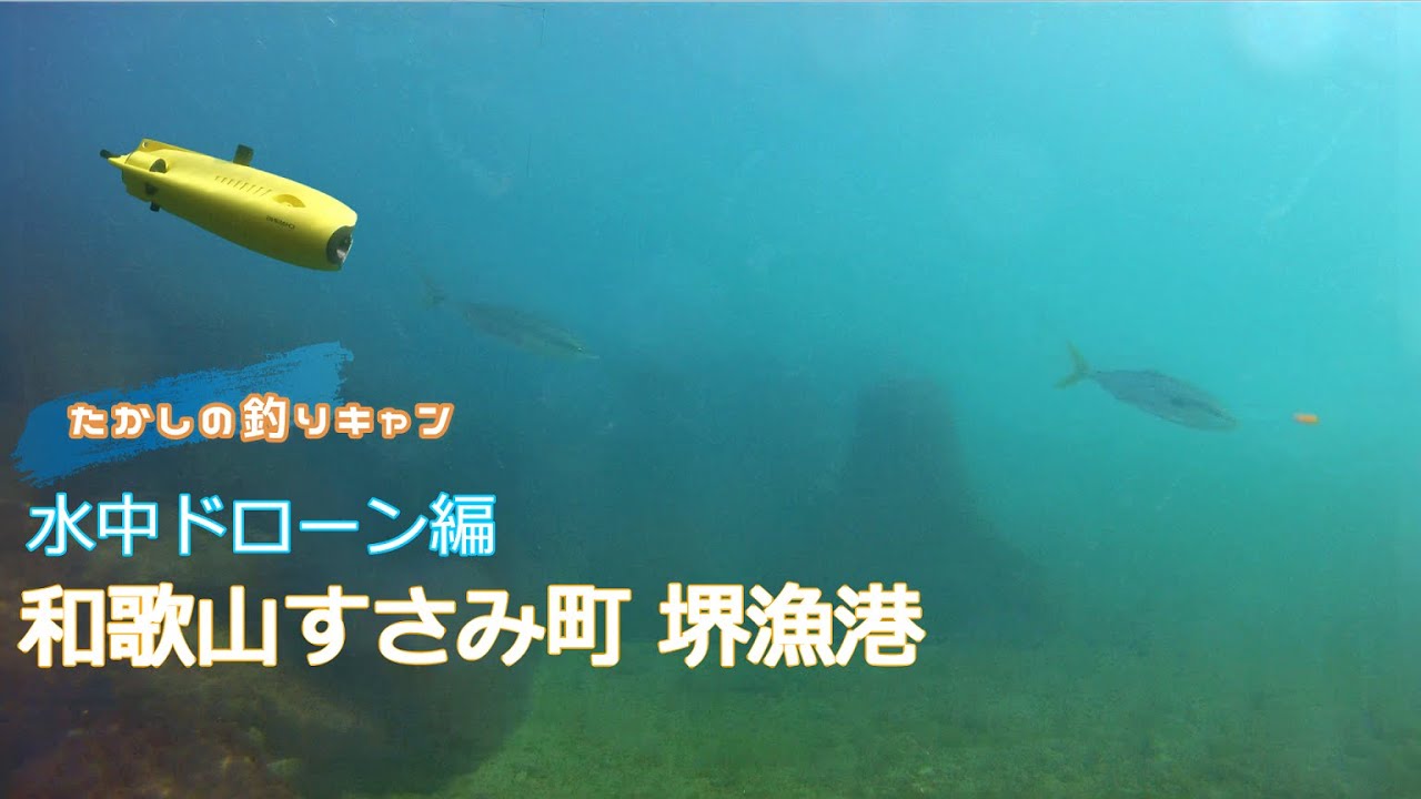 水中ドローン編 和歌山みなべ町 堺漁港(2月) 水面直下を泳ぐベイトの下に青物の姿有り！