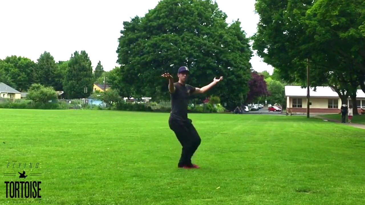 The Fixed Eight Palms of Liang BaGuaZhang: A detailed breakdown and analysis.