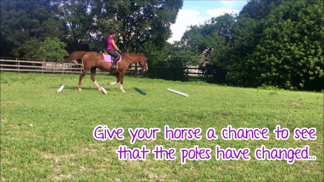 Easy way to build your horse's topline