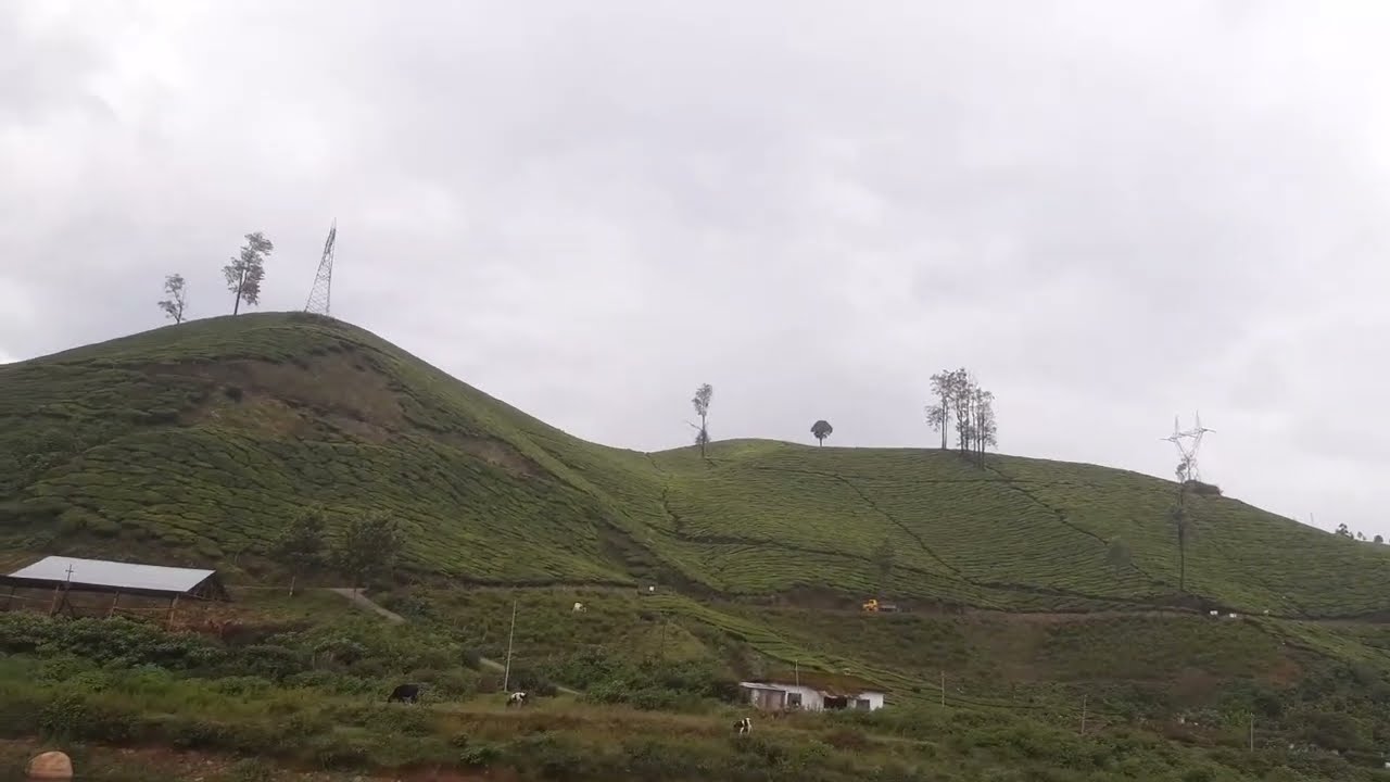 NERIAMANGALAM BRIDGE/CONNECTS COCHIN & MUNNAR/GATEWAY TO MUNNAR #keralatourism #munnartouristplaces