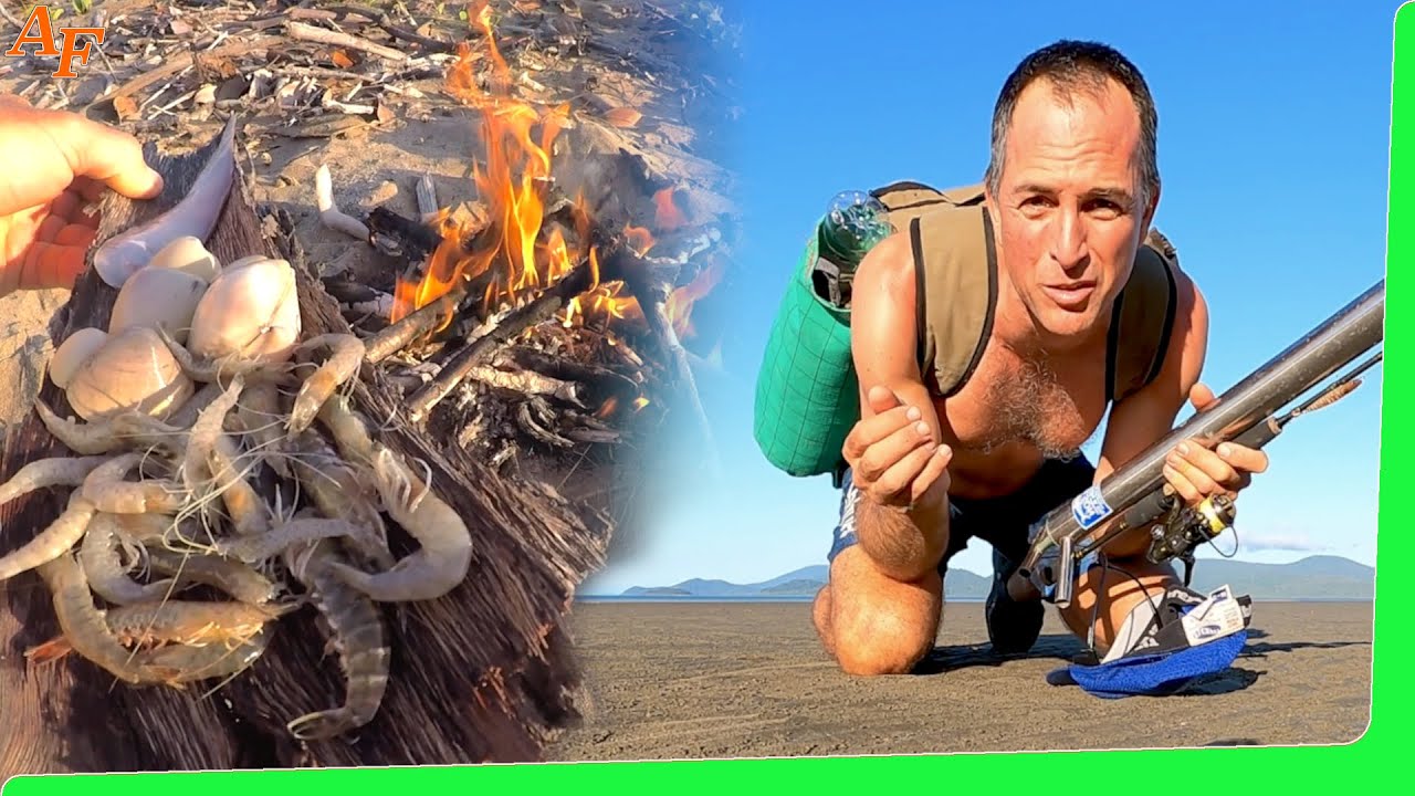 Can I survive on a coastal sand flat? - Solo overnight adventure - Catch and Cook EP.503
