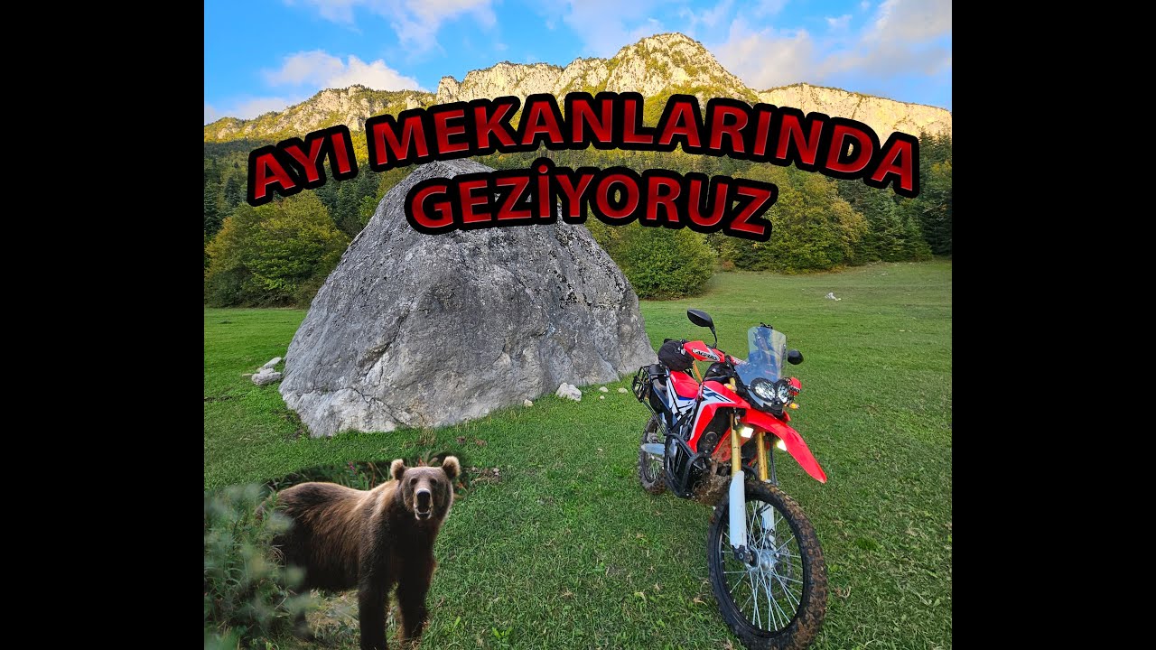 Tet Rotasına Hazırlık - Ayı Korkusuyla Enduro - Crf 250 Rally