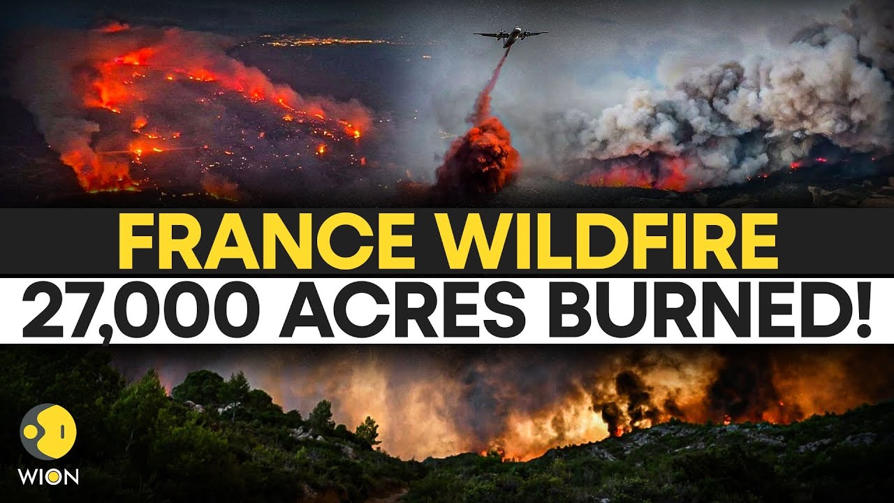 France Wildfires LIVE: Wildfires OUT OF CONTROL! Dozens Injured; France Battles Monster Blaze | LIVE