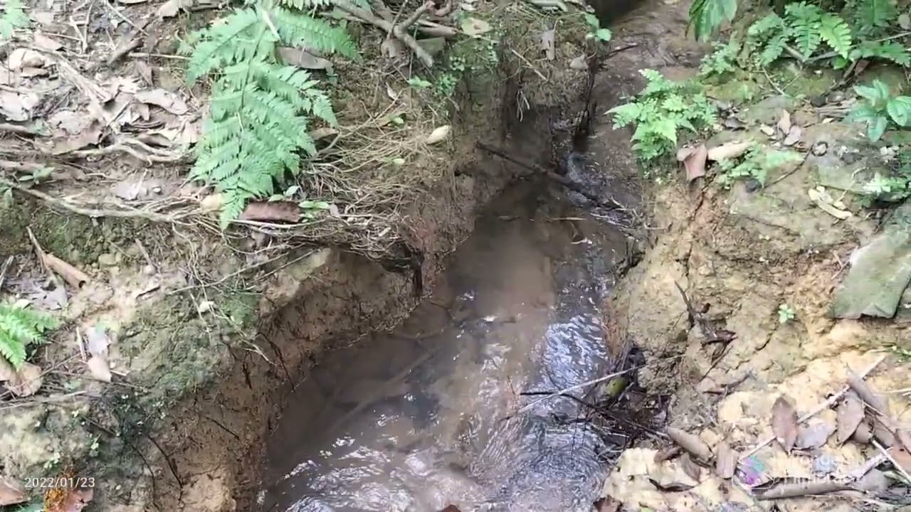 Part 2:Windsor Nature Park