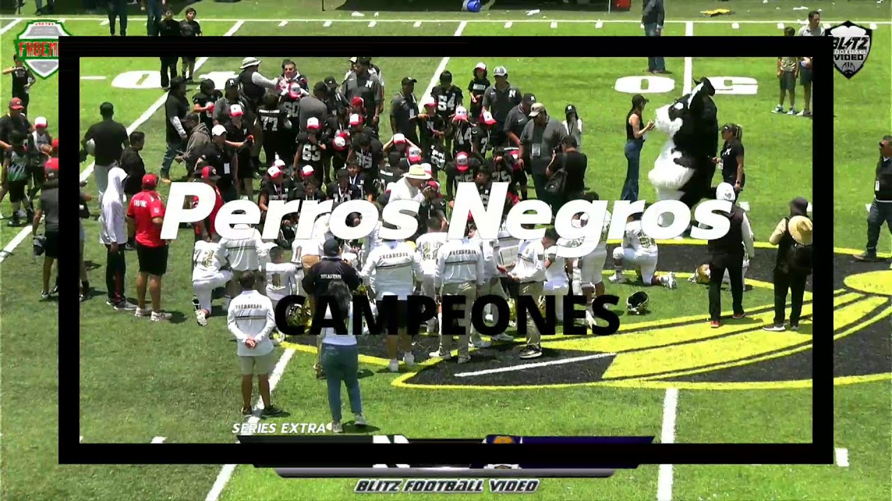 Hornets 2025 - Perros Negros Vs Bucaneros (Final)