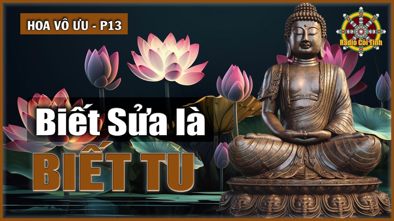 Tu là Dừng Nghiệp – Chuyển Nghiệp và Sạch Nghiệp | Hoa Vô Ưu – phần 13
