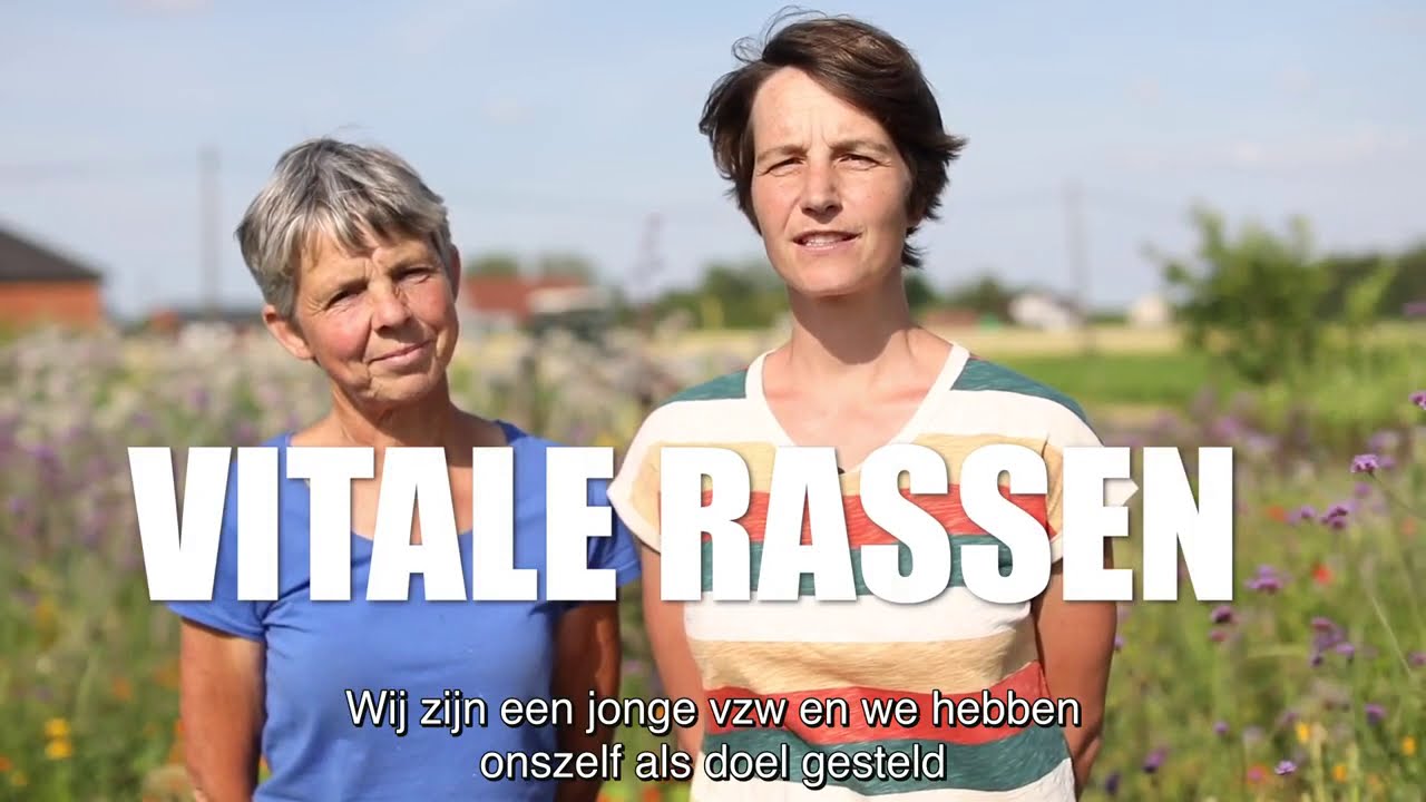 Vitale Rassen: Zaadteelt terug in boerenhanden