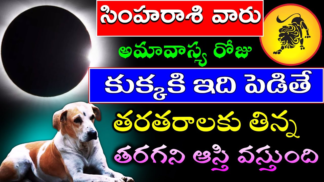 సింహ రాశి వారు అమావాస్య రోజు కుక్కకి ఇది పెడితే  తరతరాలకు  తిన్నా తరగని ఆస్తి వస్తుంది