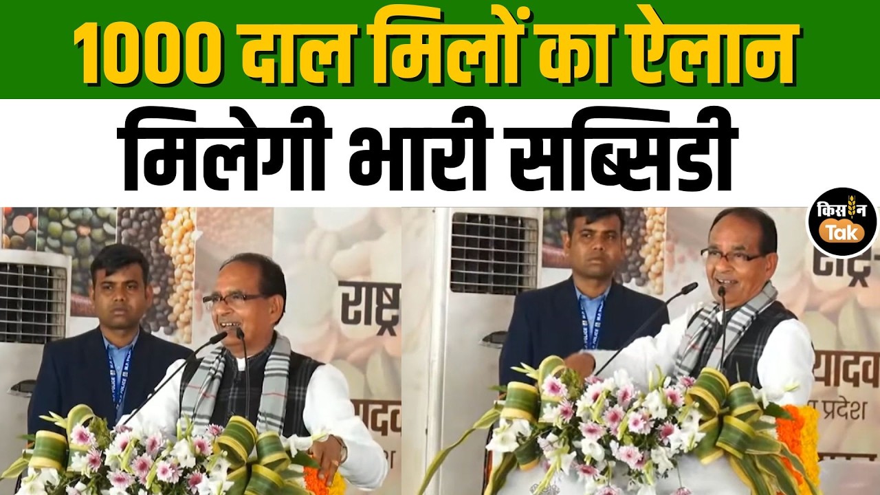 Shivraj Singh Chouhan का बड़ा ऐलान, दाल मिल लगाने के लिए मिलेगी इतने लाख की सब्सिडी! #kisantak