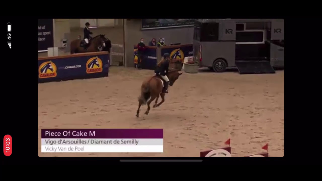 Piece of Cake M - 6yo Stallion Competition 22/2 Sentower Park