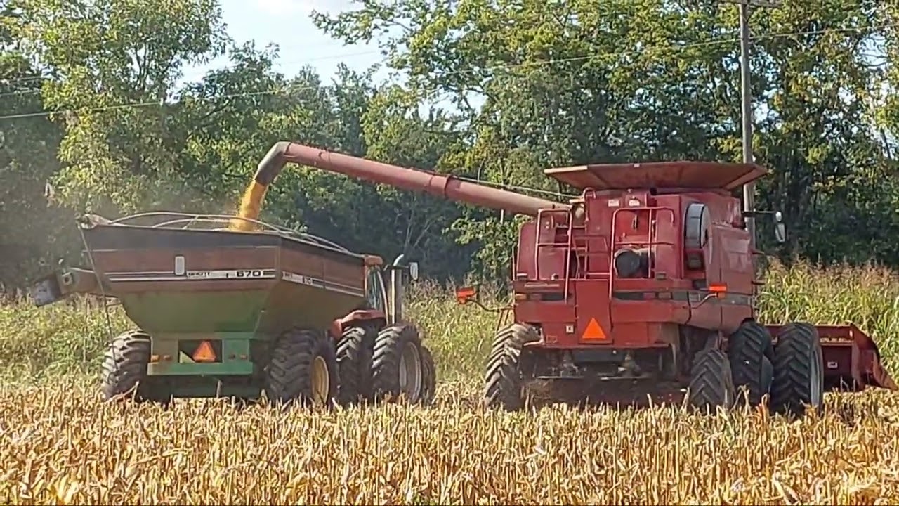 International 2388 dual action @PepperPatchAL 