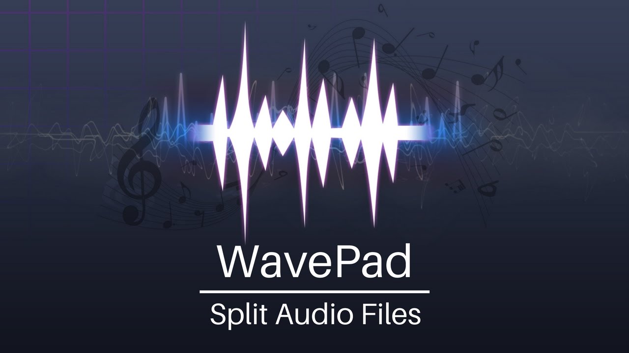 How to Split Audio Files into Tracks or Smaller Segments | WavePad Audio Editor Tutorial