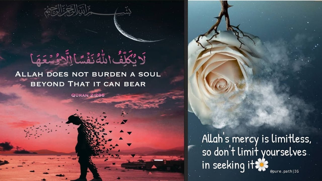 Return Back to Allah and He Will Not Leave You