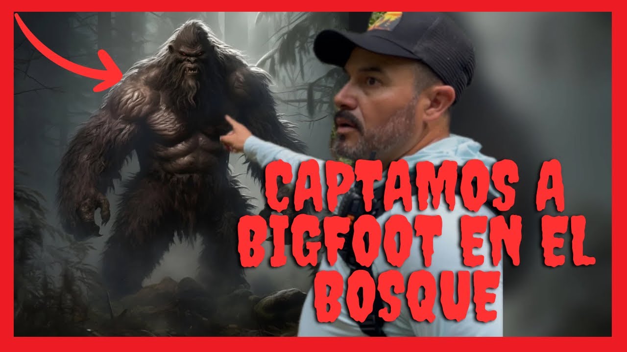 CAPTAMOS A BIGFOOT EN EL BOSQUE