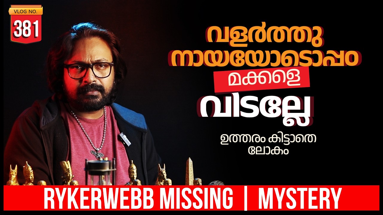 🚫വളർത്ത് നായ്കളോടൊപ്പം കുഞ്ഞുങ്ങളെ വിടല്ലേ  | DARKMODE ©BeyporeSultan Vlog 381