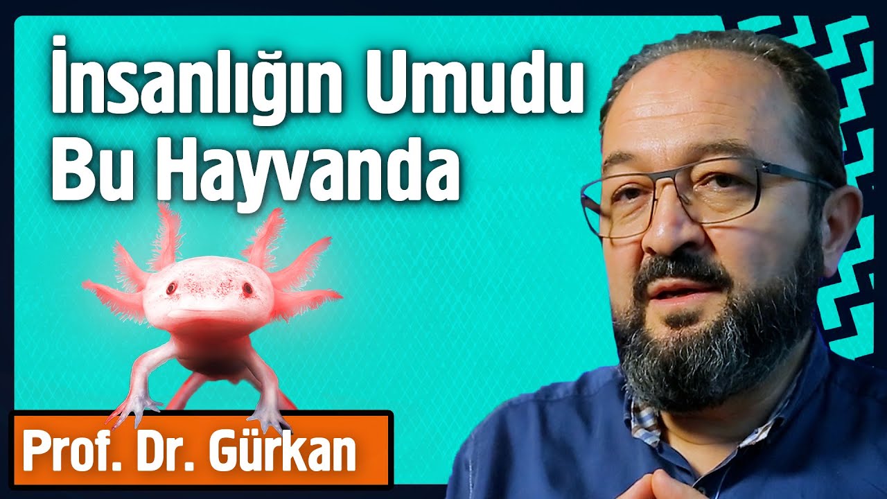 İnsanlığın Umudu Bu Hayvanda