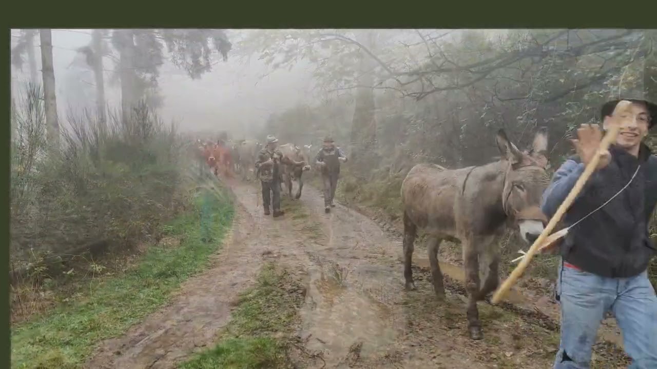Lo spettacolo della Transumanza - Ritorno dall'alpeggio a Nubbiuno az agr Tondina Paolo