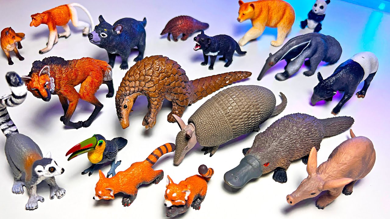 Exotic Animals Collection - Pangolin, Tapir, Armadillo, Platypus, Aardvark, Maned Wolf, Lemur, Bear