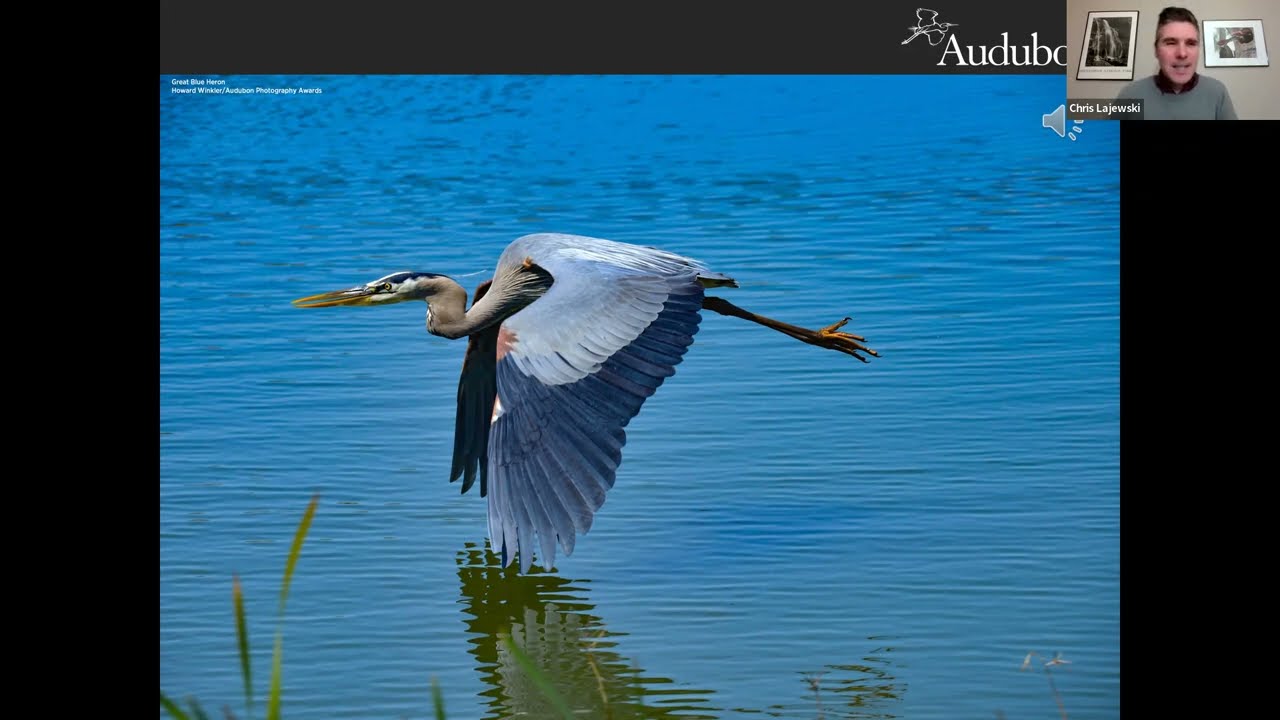 2/14/23 Audubon's Montezuma Birding Tour