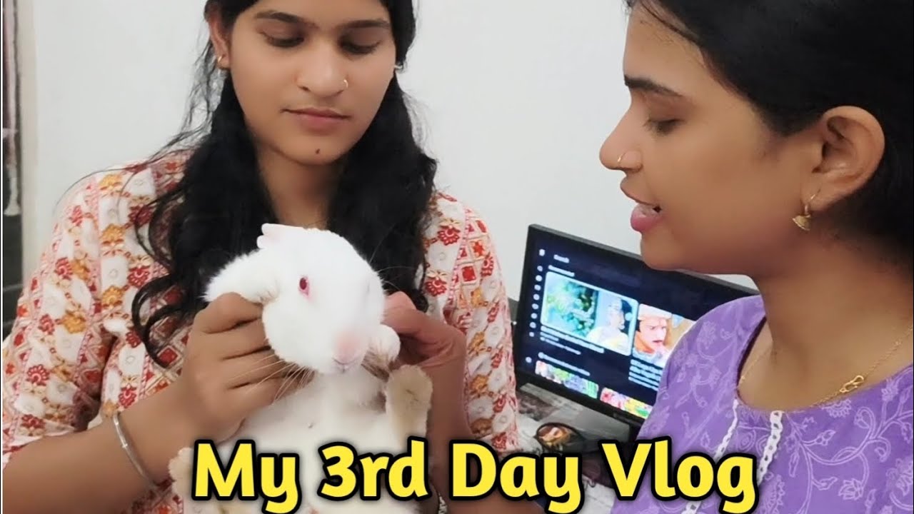 My 3rd day vlog to meet my cute pet #trending #viralvideo #short #dailyvlog #youtubevideo #trending 