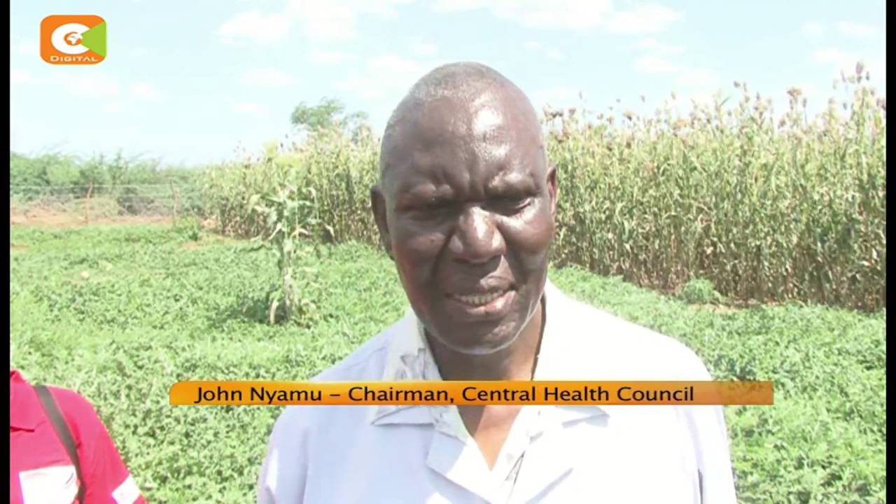 Irrigation project boosts food production in Turkana county