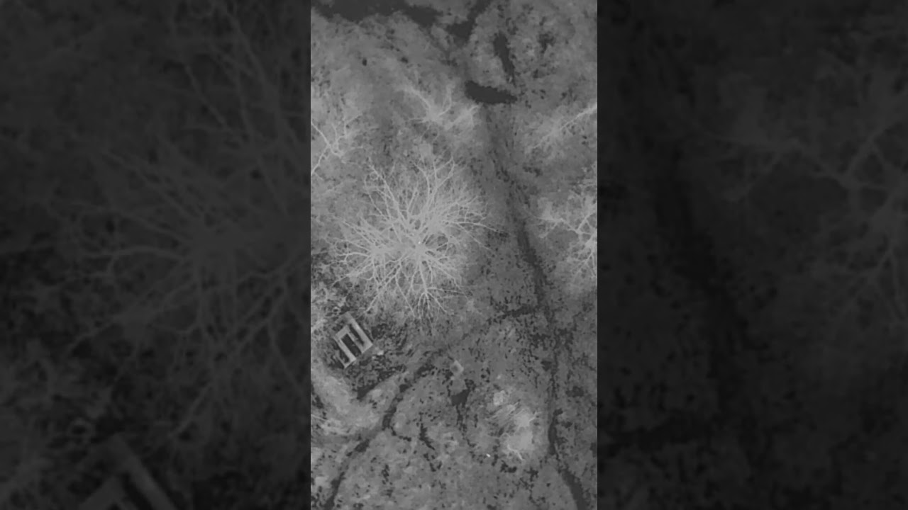 How to hide from a thermal drone (Ukraine)