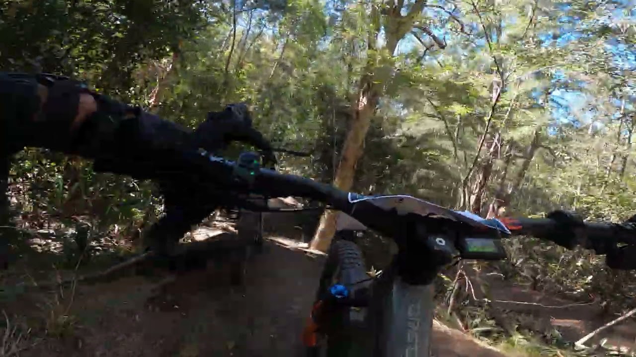 MARKHAM PARK ALLIGATOR RACE EBIKE