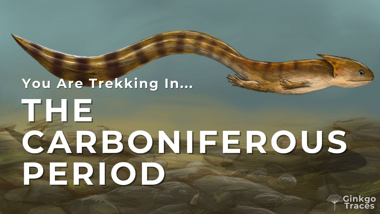 You Are Trekking in The Carboniferous Period