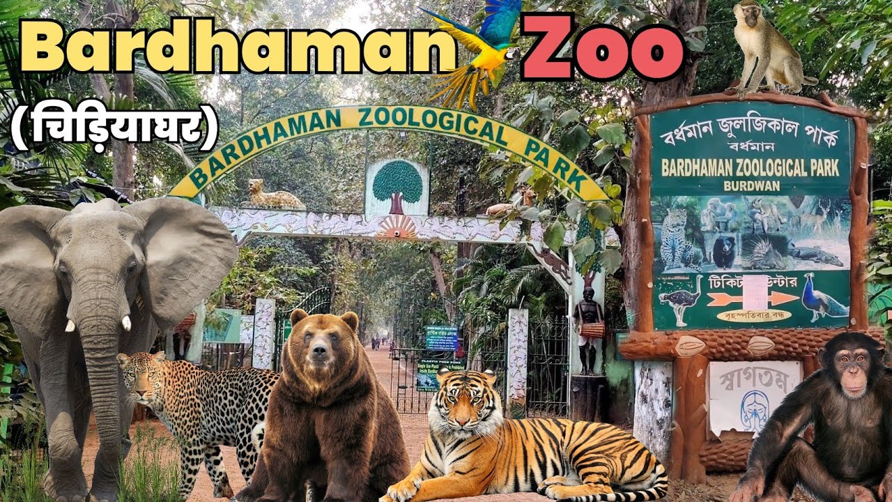 Bardhaman Zoological Park | Best Place to visit in Bardhaman