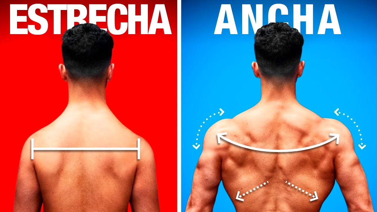 3 ejercicios mortales para MEJORAR tu espalda 😱💥