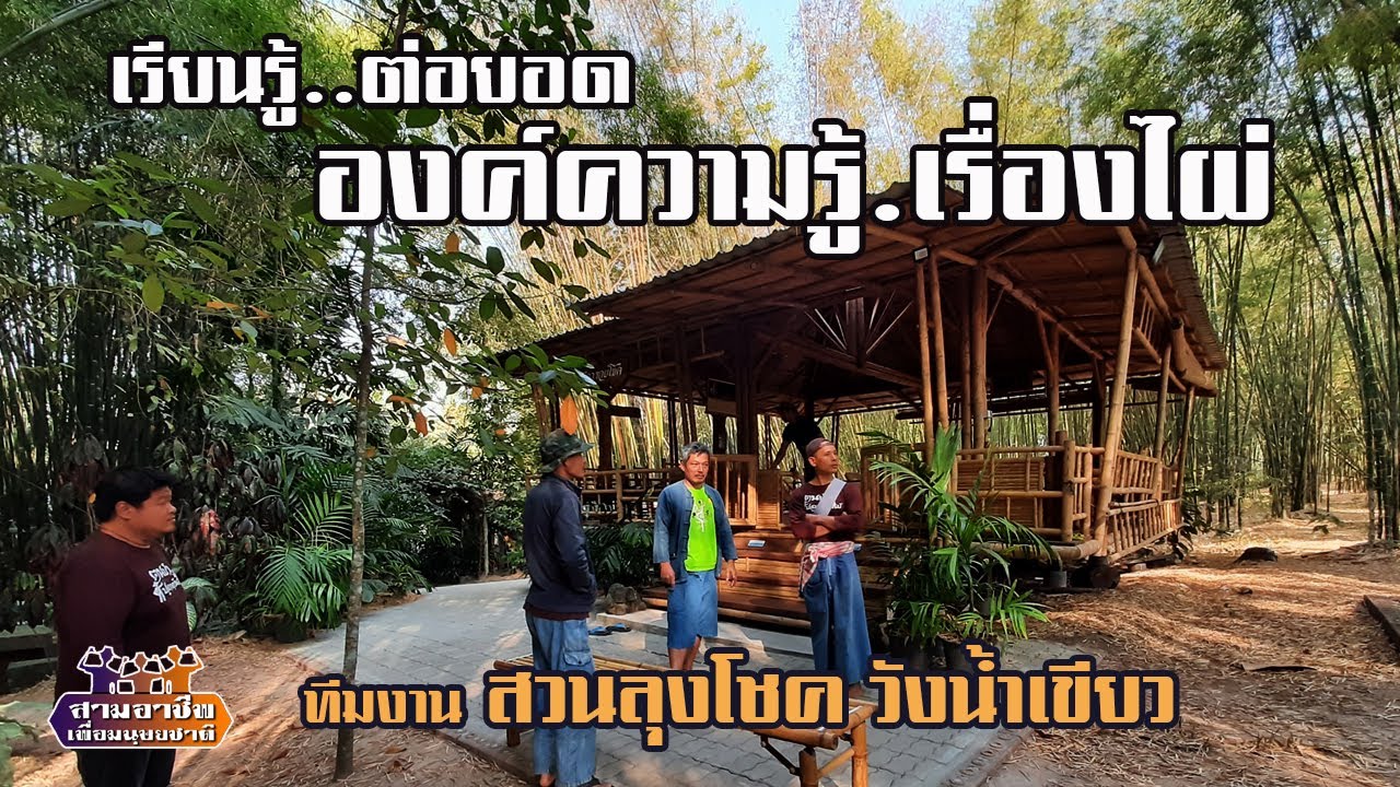 เรียนรู้ต่อยอด..เรื่องไผ่ 