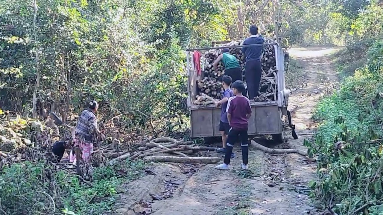 Firewood loading,12/01/2026.