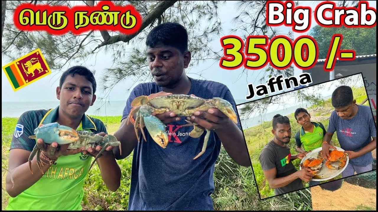 சுவையான 🦀 பெரு நண்டு  | 🇱🇰 biggest crab srilanka | Jaffna Youtubers | Sutharsan vlog | akaram