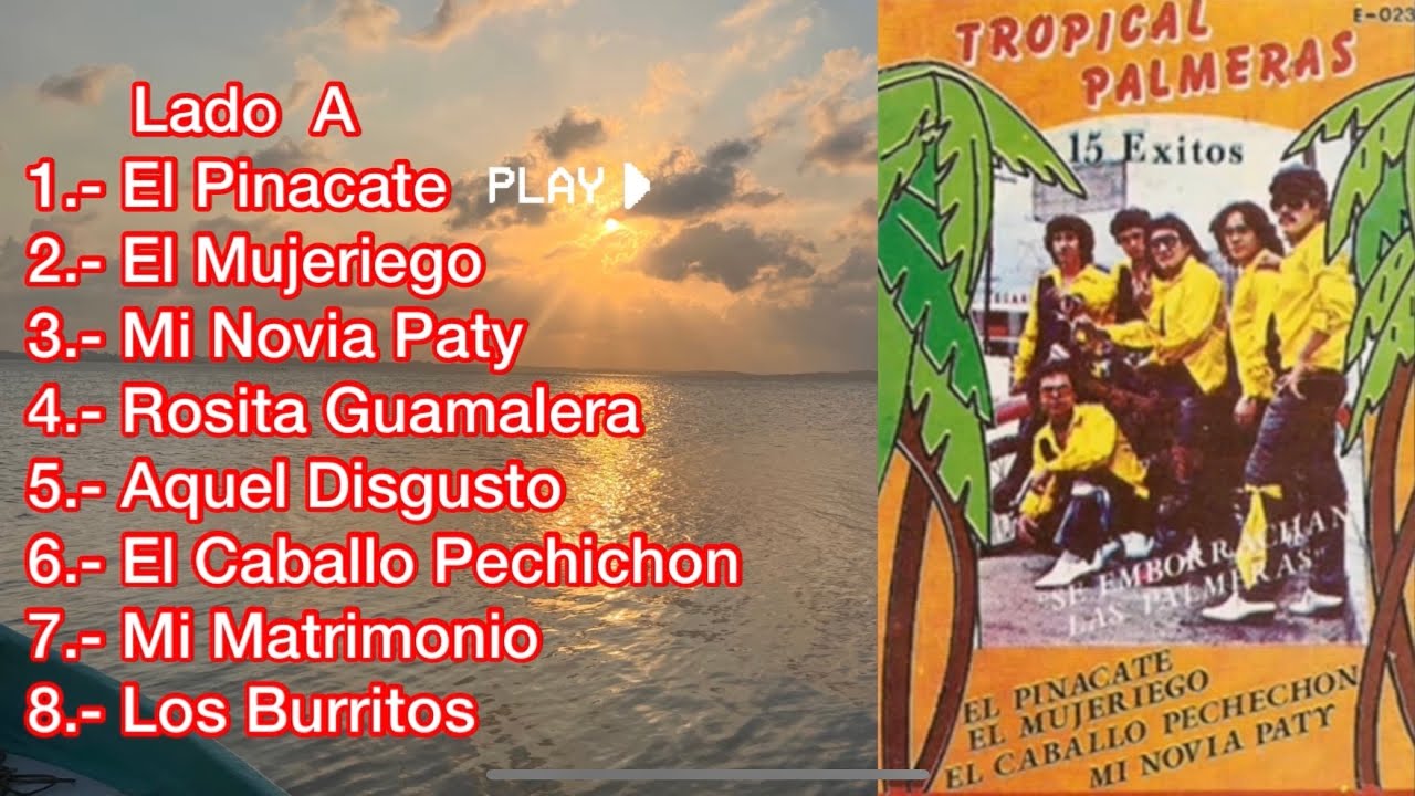 Tropical Palmeras De Tampico - 15 Exitos Lp COMPLETO