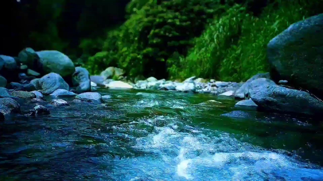 🌊 Calming River Water ASMR Sounds for Sleep Therapy & Anxiety Relief