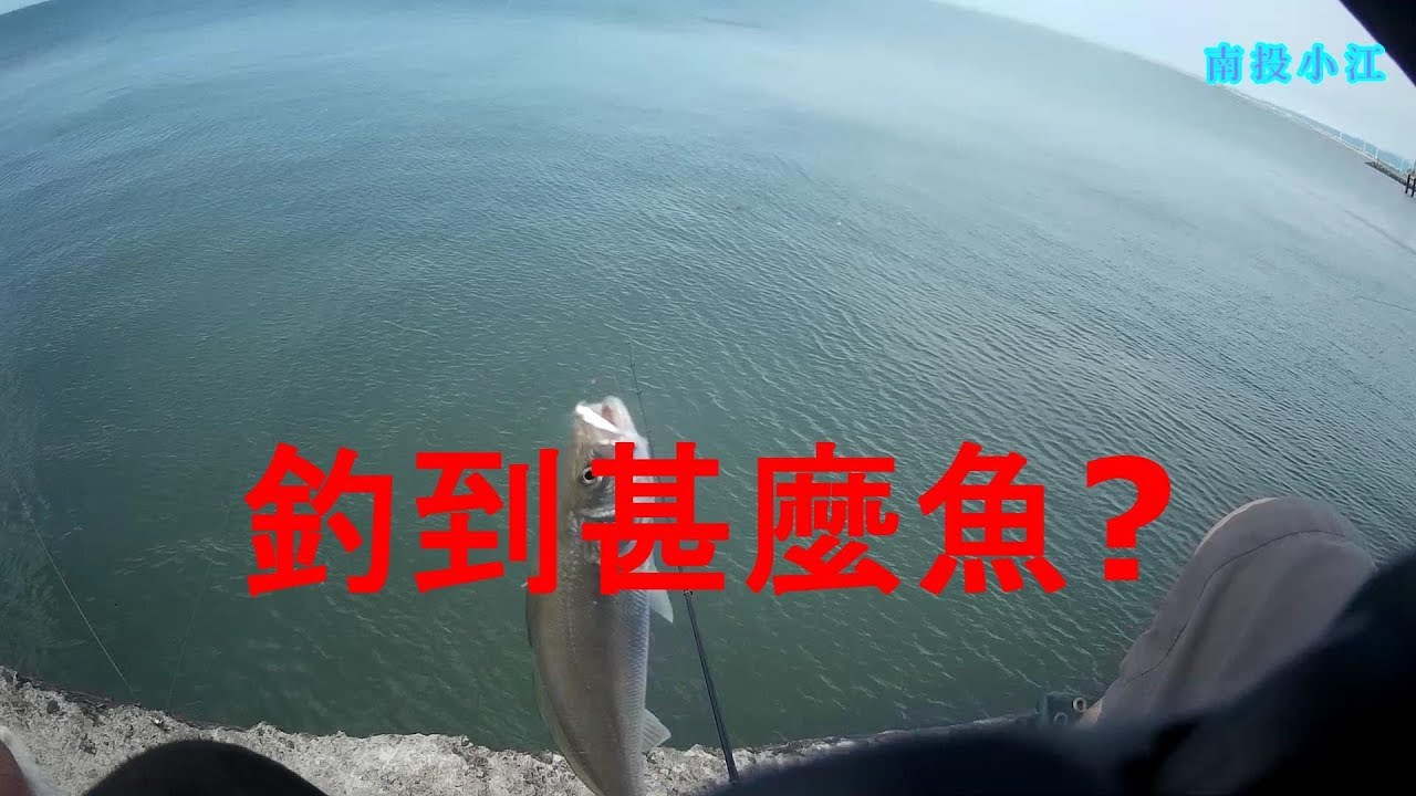台中港北堤三牙有靠?來試試看到底會釣到甚麼魚?