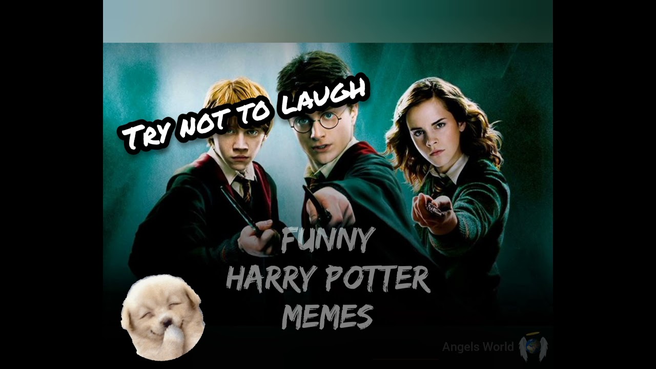 Harry Potter Memes | Try not to laugh!! Part 1