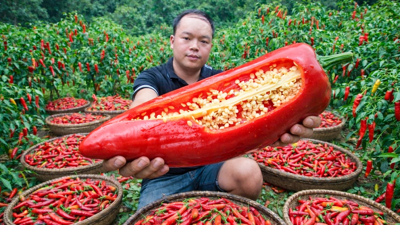 Harvesting chili peppers, sugarcane, raising livestock, the process of making copper bowls