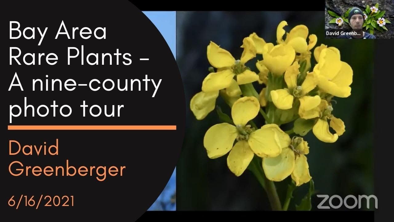 Bay Area Rare Plants – A nine-county photo tour, a talk by David Greenberger