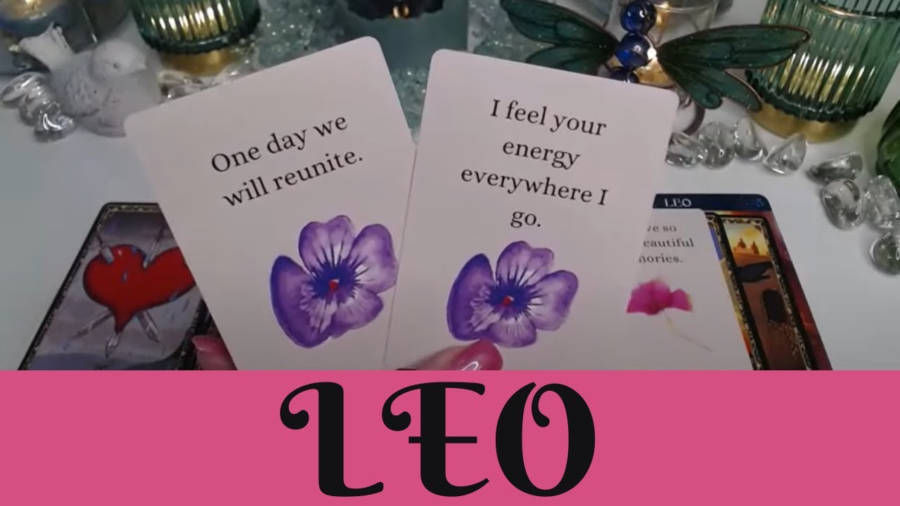 LEO♌ 💖NO CONTACT💘THEY HURT YOU☹️THEY'RE AFRAID THEY'VE LOST YOU FOREVER ✨🪄 LEO LOVE TAROT💝