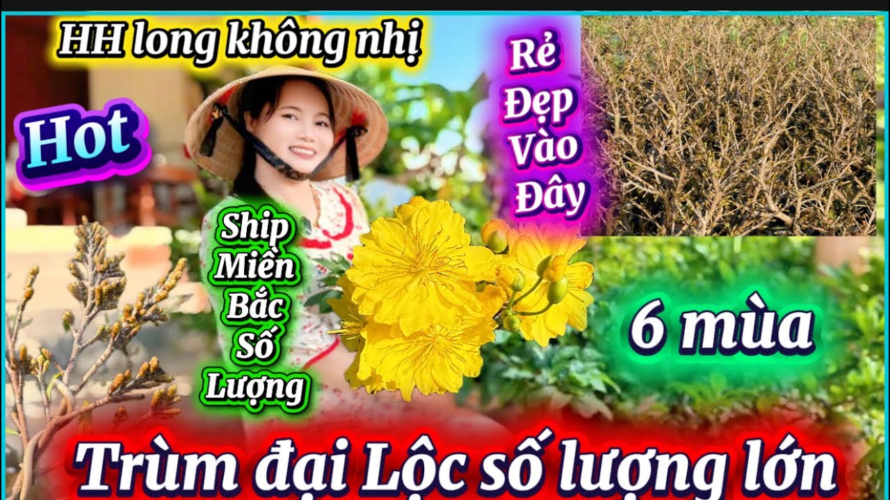 26-1-2026☎️0326119509📲mai chơi Tết giá xã rẻ cực kỳ sốc đại Lộc 5 mùa báo mã số cuối líp 